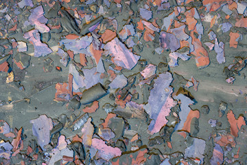 Paint grunge background