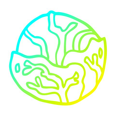 cold gradient line drawing cartoon cabbage