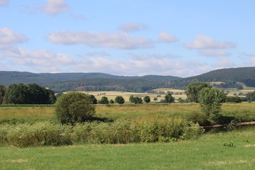 River landscape with golden fields and forest in the light of the summer sun