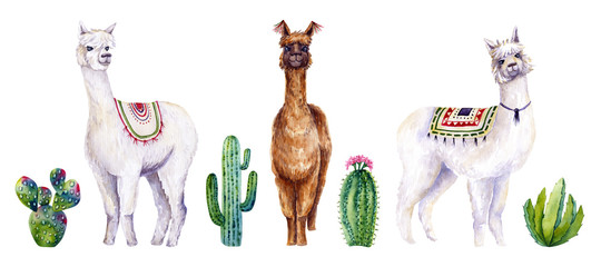 Set of watercolor alpacas and cactus. Colorful illustration isolated on white. Hand painted animals and plants perfect for card making, wallpaper, fabric textile, interior design © Vola Tsiukhai