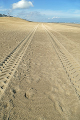 Skidmarks of a truck on an endless empty beach