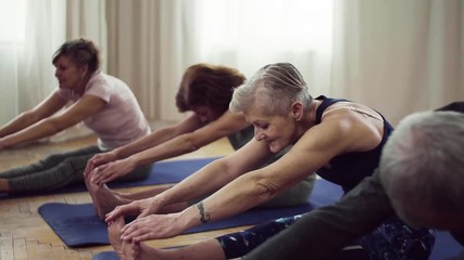 Group of senior people doing exercise in community center club. - Powered by Adobe