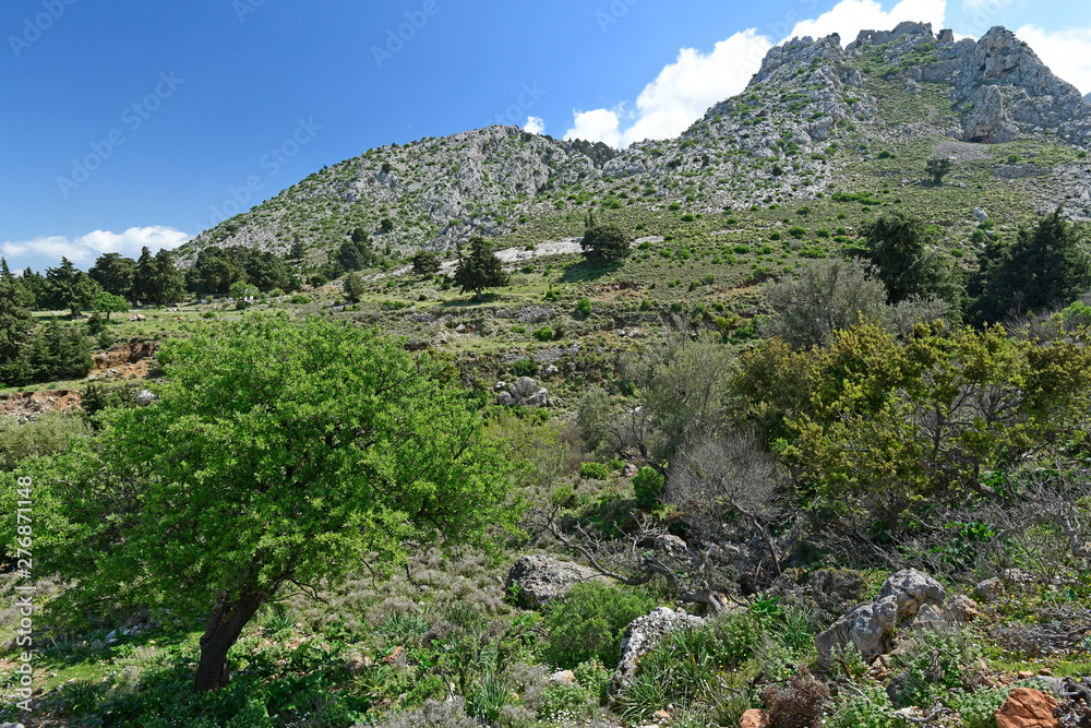 Poster Dikeos-Gebirge auf der griechischen Insel Kos