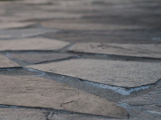 Obraz premium OLYMPUS DIGITAL CAMERA