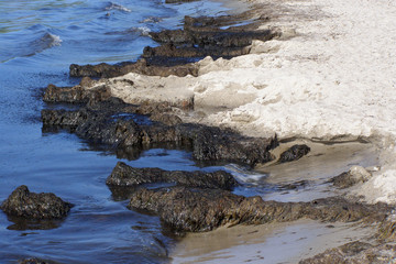 Contrastful waterline and sand / seaweed formation