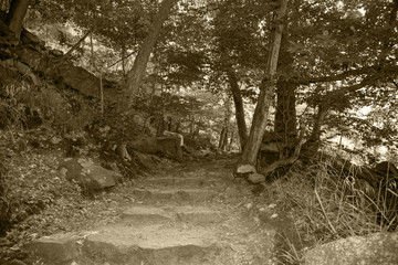 Naklejka premium Weg