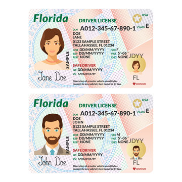 Vector template of sample driver license plastic card for USA Florida