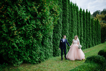 Couple in love walks against the backdrop of tall green trees