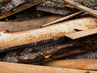 pruning of trees on processing