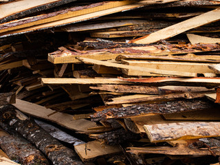 pruning of trees on processing