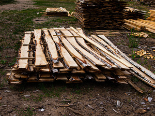 pruning of trees on processing