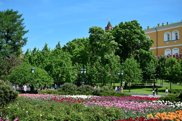 Moscow, Russia - May 13, 2019: Flowerbeds with multicolored tulips in Alexander Garden