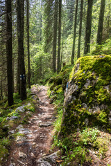 Rocky terrain in Carpathian Mountains, Romania