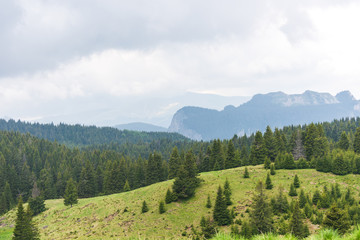 Fototapeta na wymiar Wide angle shot of the landscape of Carpathian Mountains