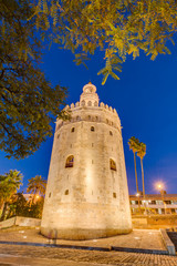 Obraz premium The Torre del Oro tower in Seville, Spain.