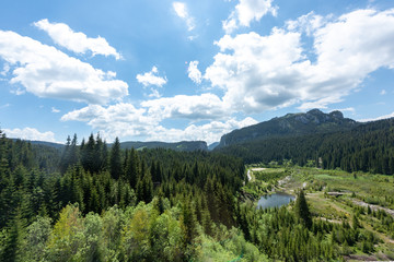 Fototapeta na wymiar Landscape shot of the Carpathian Mountains, Romania