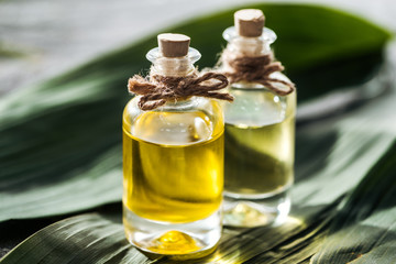 selective focus of bottles with corks and coconut oil on green palm leaves