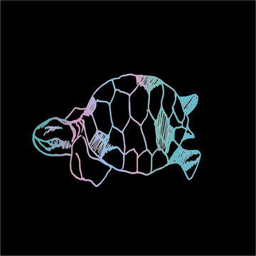 Color illustration of a psychedelic turtle. Tattoo idea.