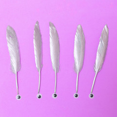 Silver Feathers Minimal flat lay fashion creative art