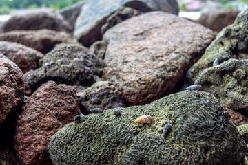 Bintan, Indonesien