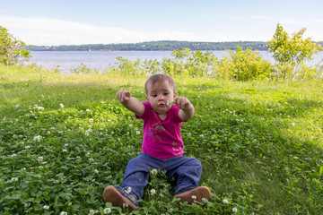 Naklejka na ściany i meble Horizontal view of cute fair toddler girl sitting in the shade with funny expression picking clover flowers excitedly, Quebec City, Quebec, Canada