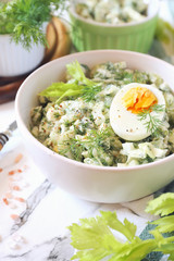Vitamin light vegetable salad with dill, celery, eggs and Greek yogurt