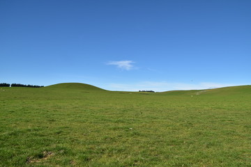 Green Field in Oamaru, New Zealand