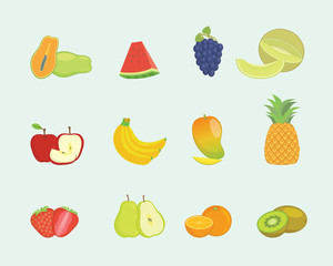 fruit set collection with various shape and various colors with modern flat style - vector
