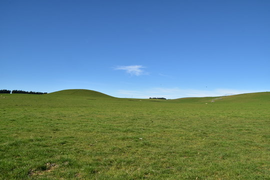 Green Field in Oamaru, New Zealand