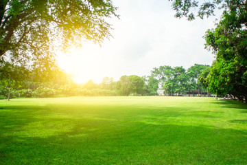 ฺBlurred green lawn and sun light