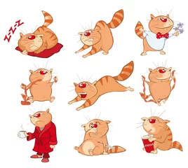 Fotobehang Set van Cartoon vectorillustratie. Een schattige katten voor jou Ontwerp en computerspel © liusa