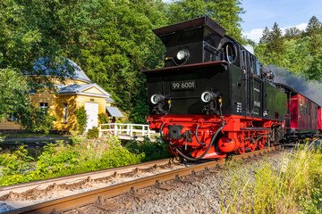 Selketalbahn in Alexisbad
