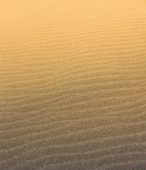 Fototapeta na wymiar The abstract wave line textures on a Pacific beach illuminated by the Sun and an empty quarter