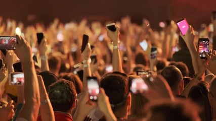 Crowd of fans cheering at open-air music festival