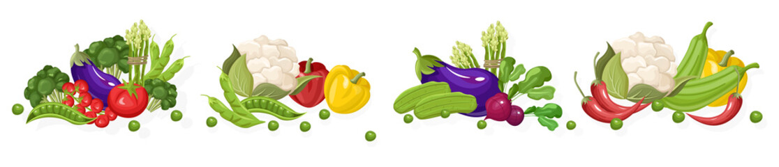 Fototapeta Farm fresh vegetables Vector set. Store shop grocery detailed illustrations posters obraz