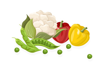 Cauliflower, chilli, greens set. Store shop label isolated poster advertises