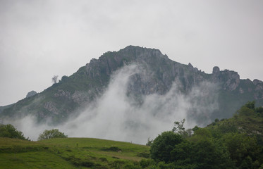 Picos de Europa
