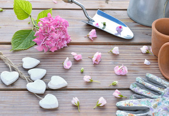 romantic garden still life with petals of flowers spilled on a wooden table and gardening