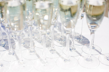 lot of glasses with champagne during on the party table. a row of glasses filled with champagne are lined up ready to be served