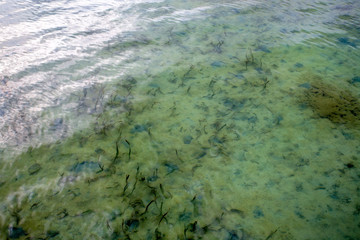 Obraz premium Bintan