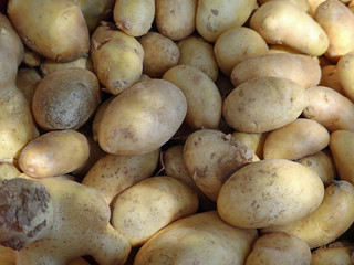 heap of fresh harvesting potatoes, close up, background, top view