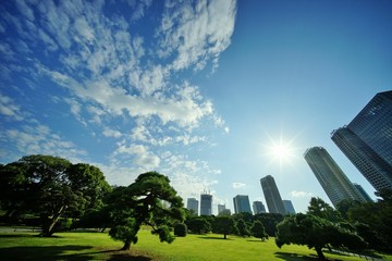 浜離宮庭園とビル群