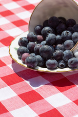 Blueberries in a cup and saucer, on a gingham tablecloth, outdoors in sunshine