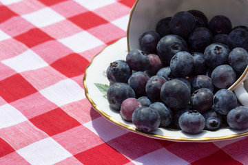 Blueberries in a cup and saucer, on a gingham tablecloth, outdoors in sunshine