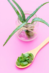 Medicinal plant aloe vera in a glass jar and on a wooden spoon on a pink background