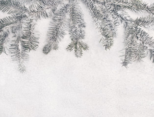 Winter Christmas background - fir tree, snow 