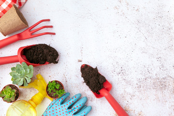 Gardening tools and top view, garden manteinance