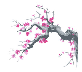  Watercolor Sakura Blossom - Japanese Cherry Tree. Artistic Branch Plum Blossom.
