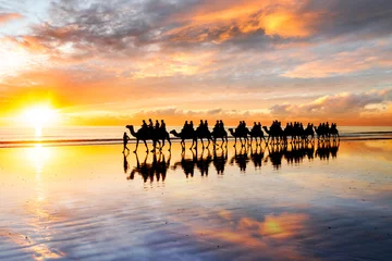 Fotobehang Gesilhouetteerde kamelen wandelen langs Cable Beach bij zonsondergang in de noordwestelijke stad Broome, West-Australië, Australië. Kameelrijden bij zonsondergang is een populaire toeristische activiteit in Broome. © beau