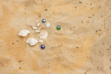 Sea shells in the sand. Summer background. Beach texture. Copy space Top view